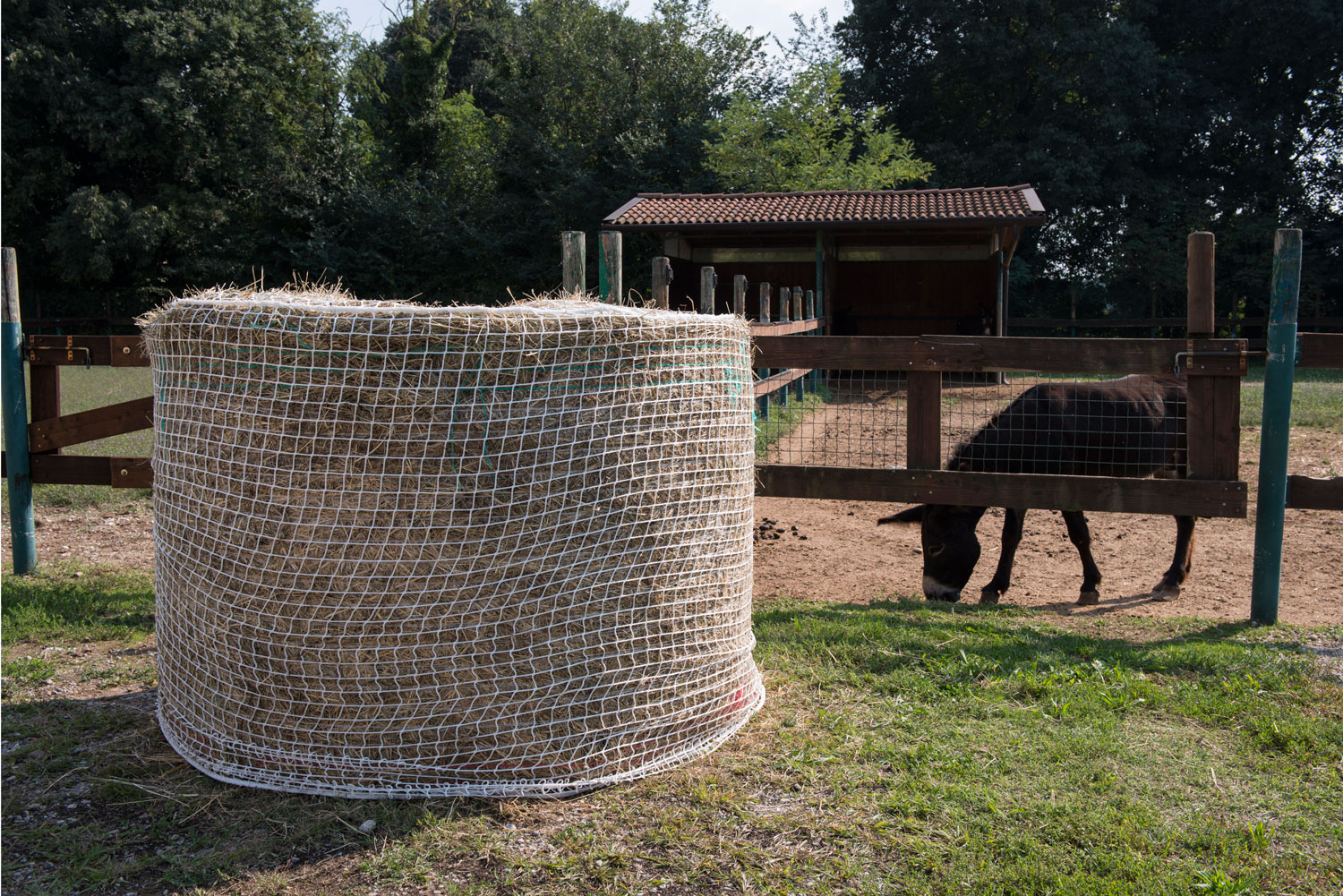 Filet pour balle ronde moyen maille de 50 mm Ø 16... Cod. CV0012