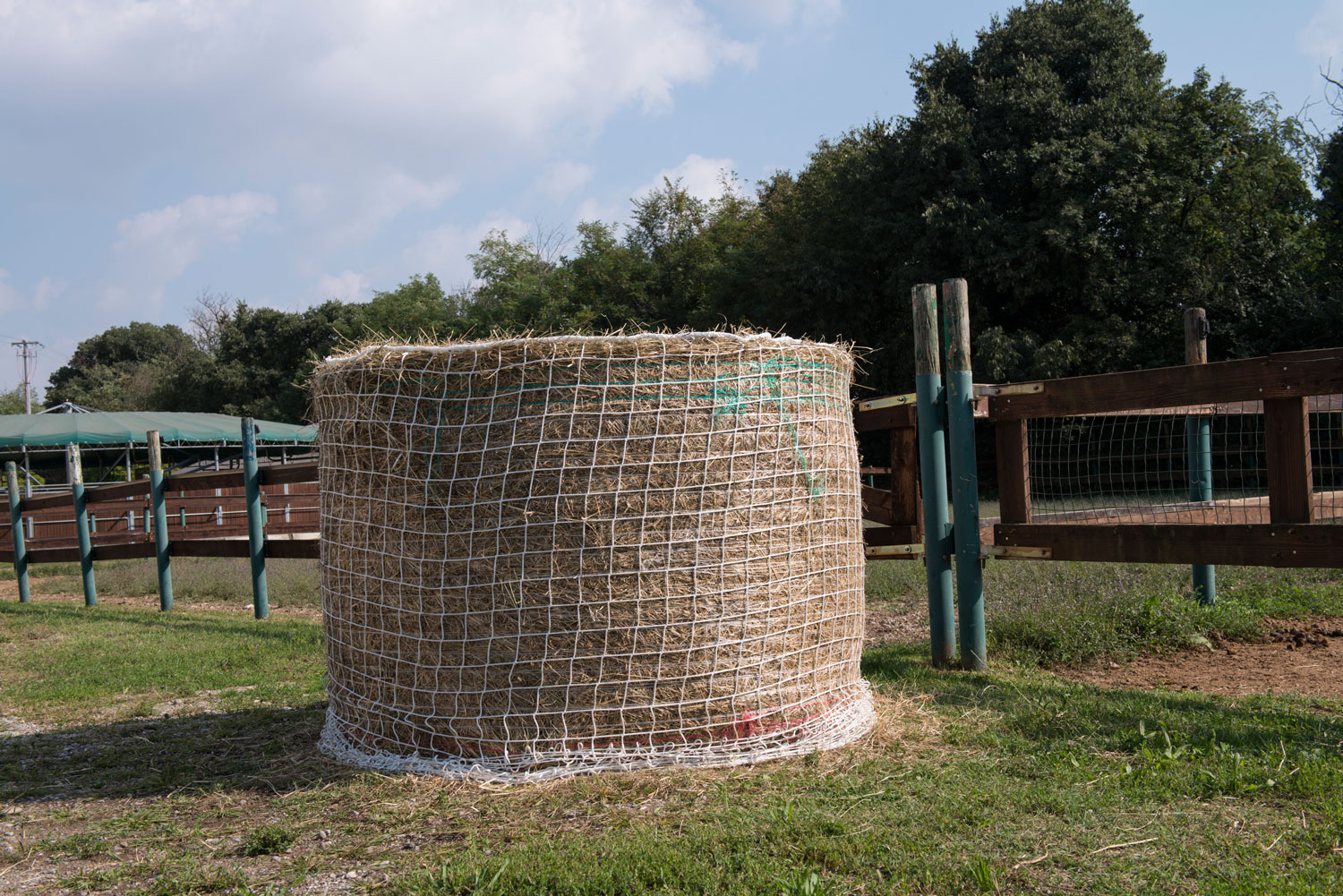 Filet pour balle ronde petit maille de 100 mm Ø 14... Cod. CV0022