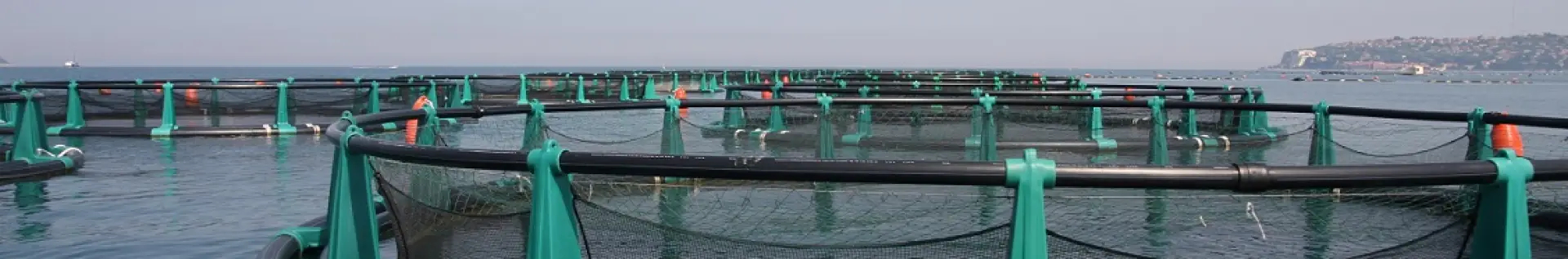 Cages pour la pisciculture et l'aquaculture de forme circula...