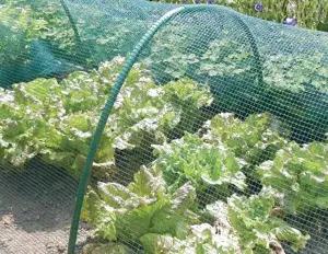 Filet et bâches pour Agriculture et Jardinage