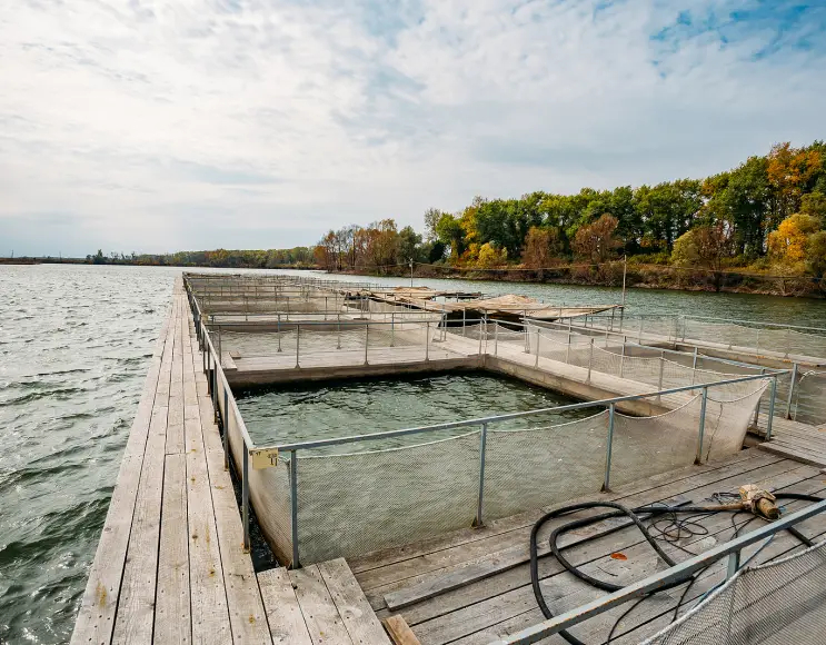 Cages carrées pour l'aquaculture et la pisciculture