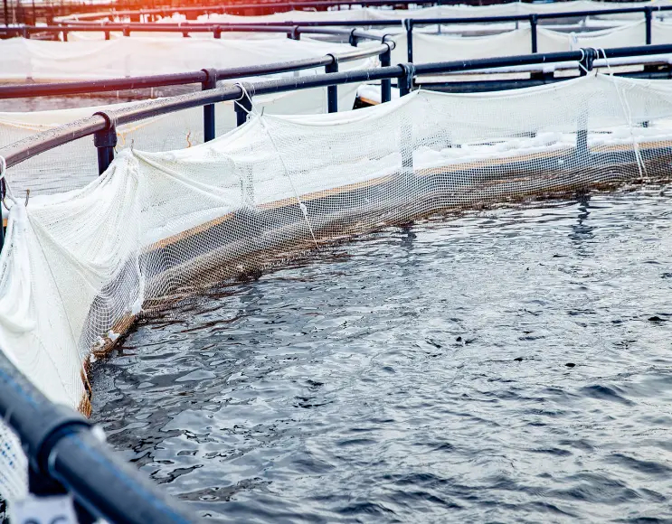 Cages circulaires pour l'aquaculture et la pisciculture